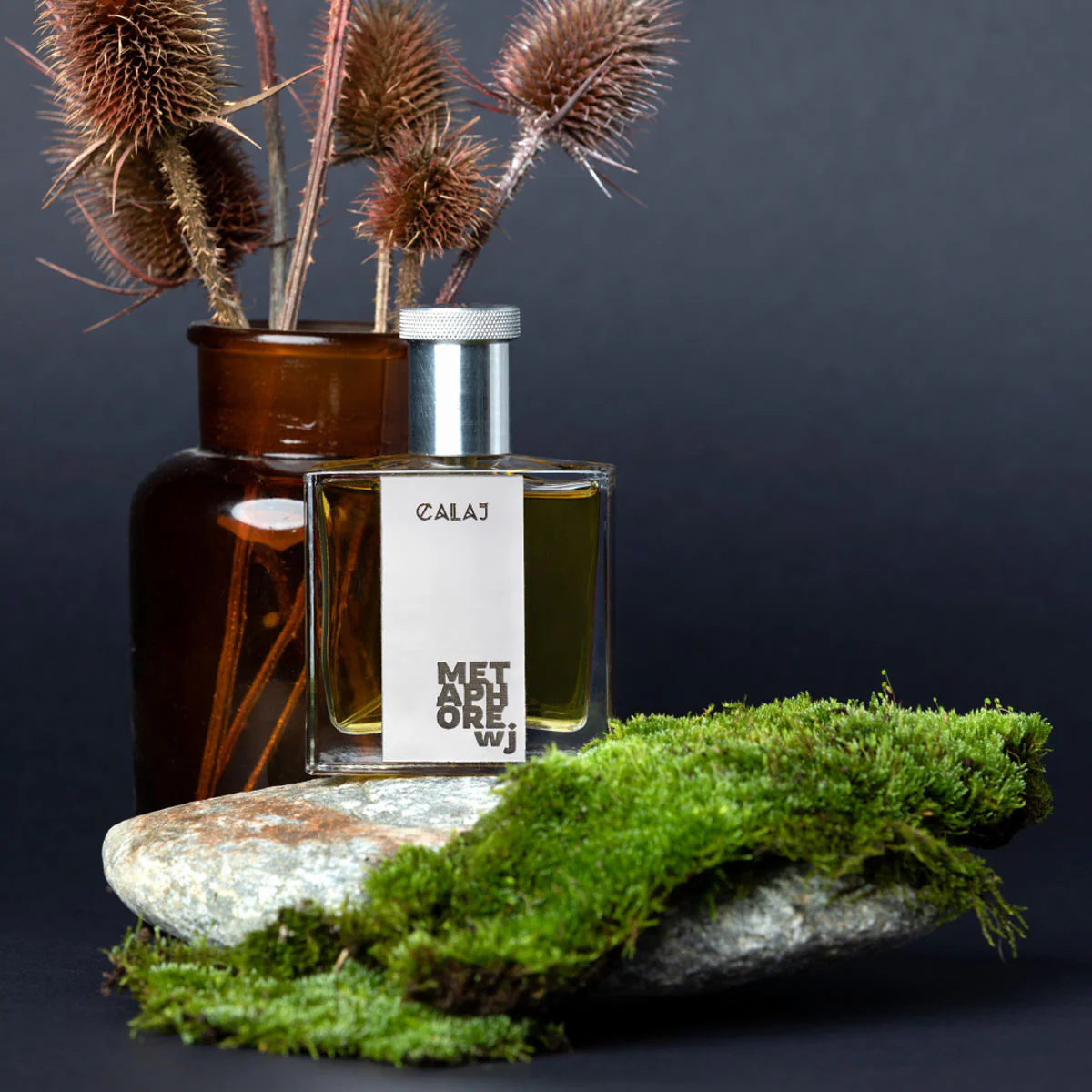 CALAJ METAPHORE WJ - Image 2