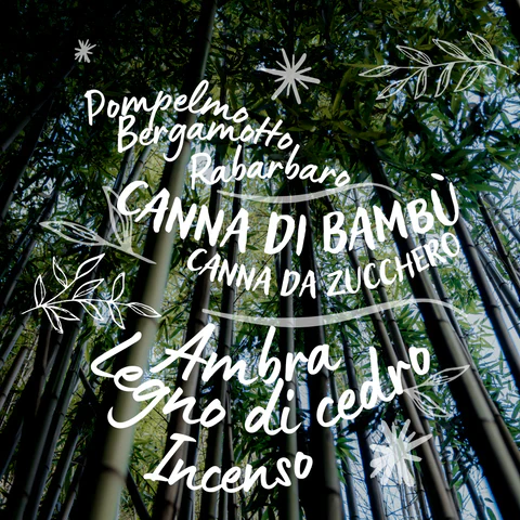 Dedè Arte Profumata Amai Arashiyama - Image 2