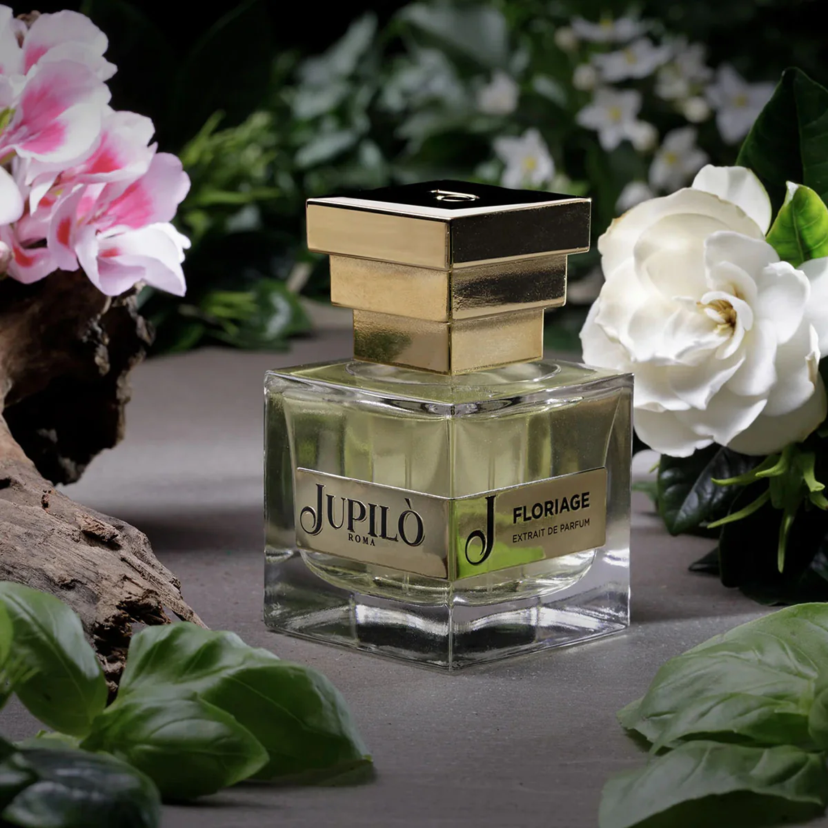 JUPILO' FLORIAGE - Image 2