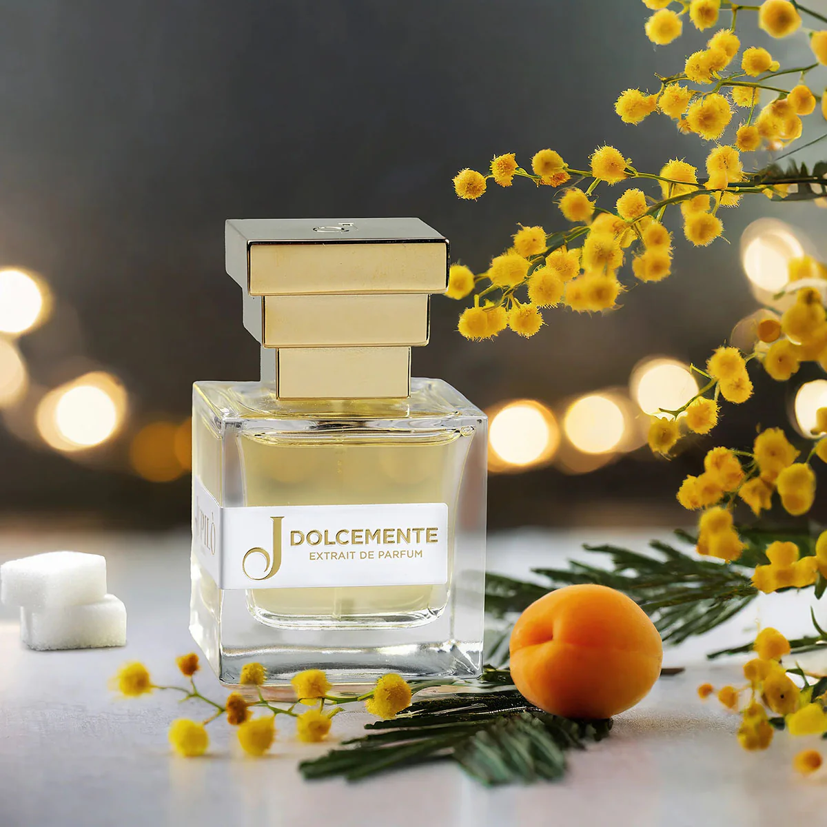 JUPILO' DOLCEMENTE - Image 2