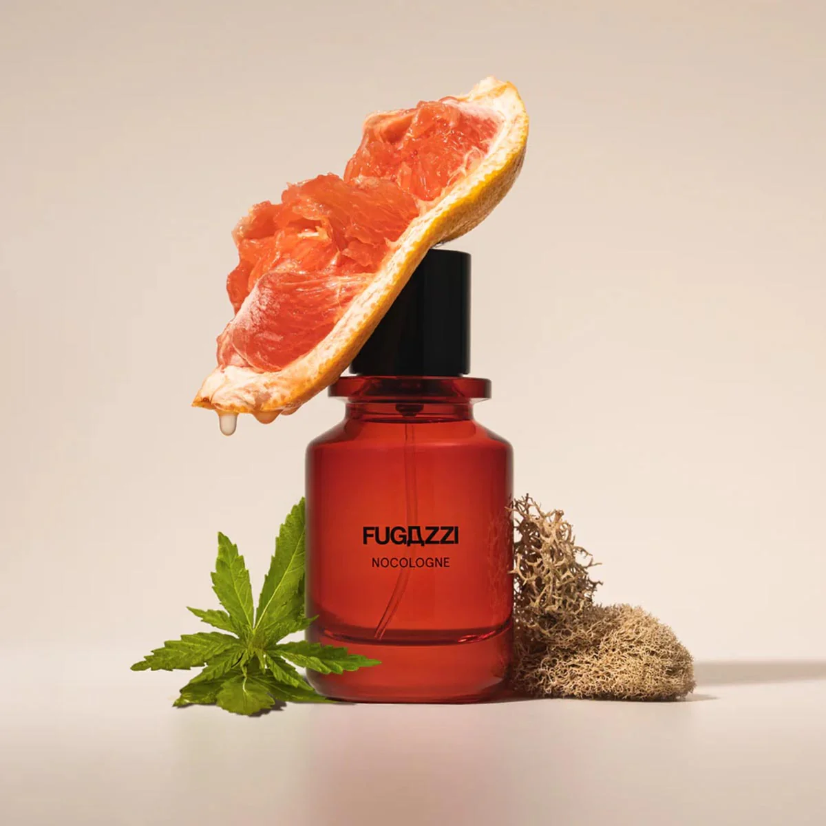 Fugazzi Nocologne - Image 2