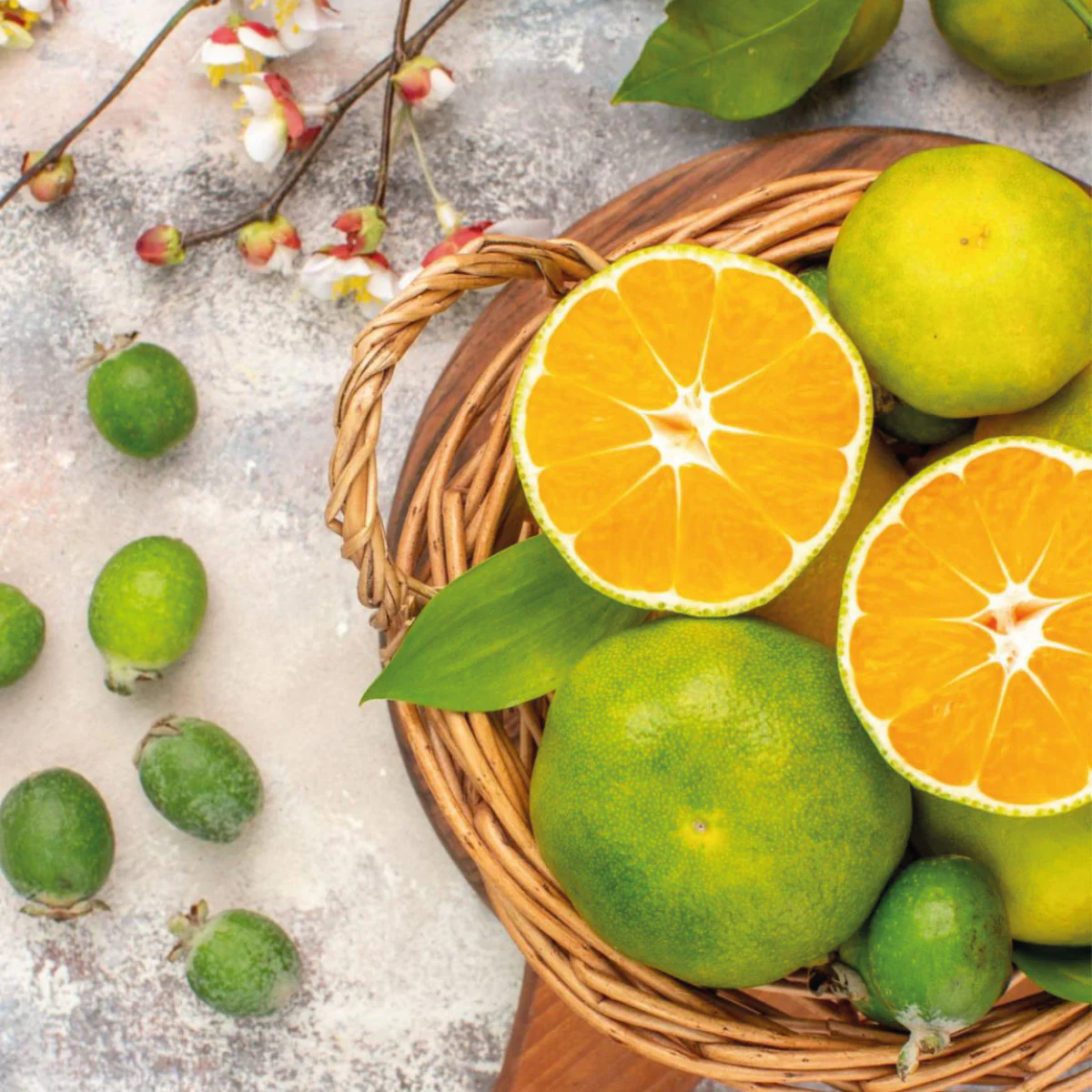 GOURMET Tresor Vert - Image 2