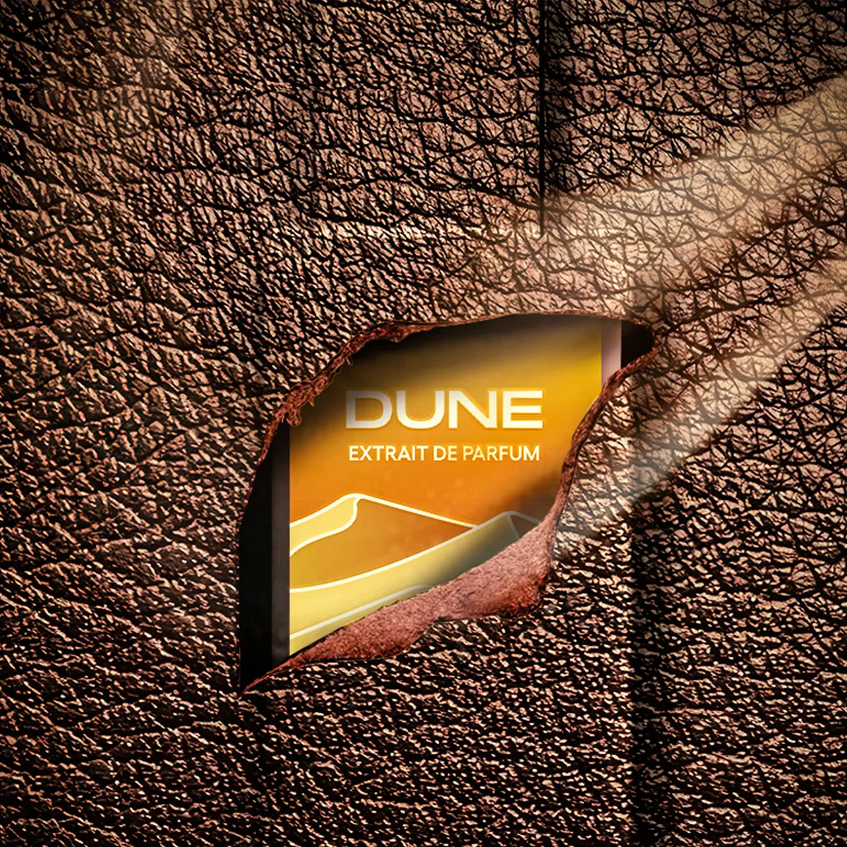 I PICCIRILLI Dune - Image 2