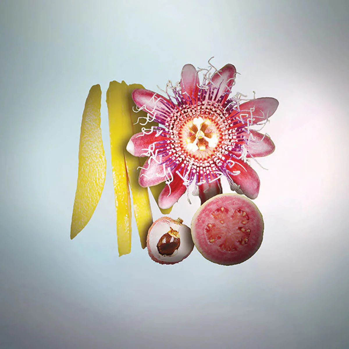 KEIKO MECHERI PASSIFLORA - Image 2