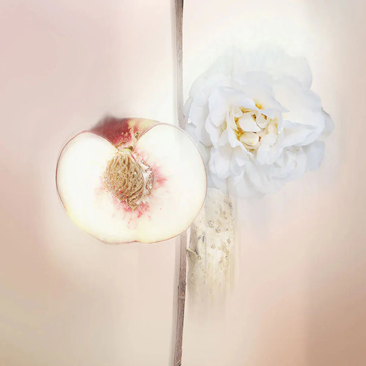 KEIKO MECHERI PEAU DE PECHE EDP 100 ml - Image 2