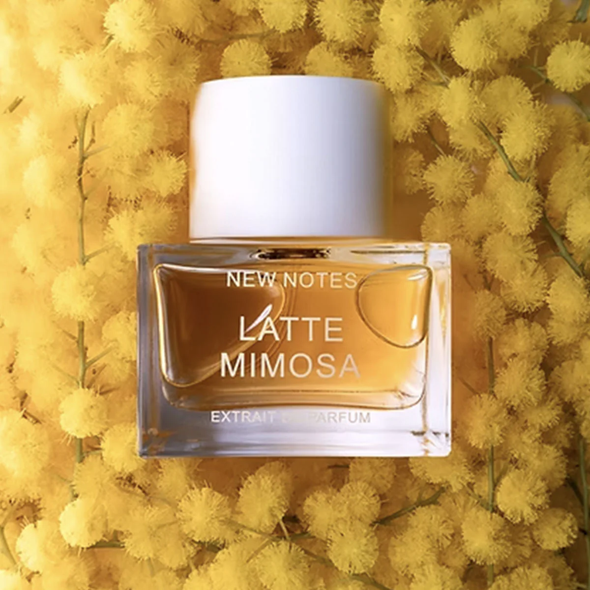 NEW NOTES LATTE MIMOSA - Image 2