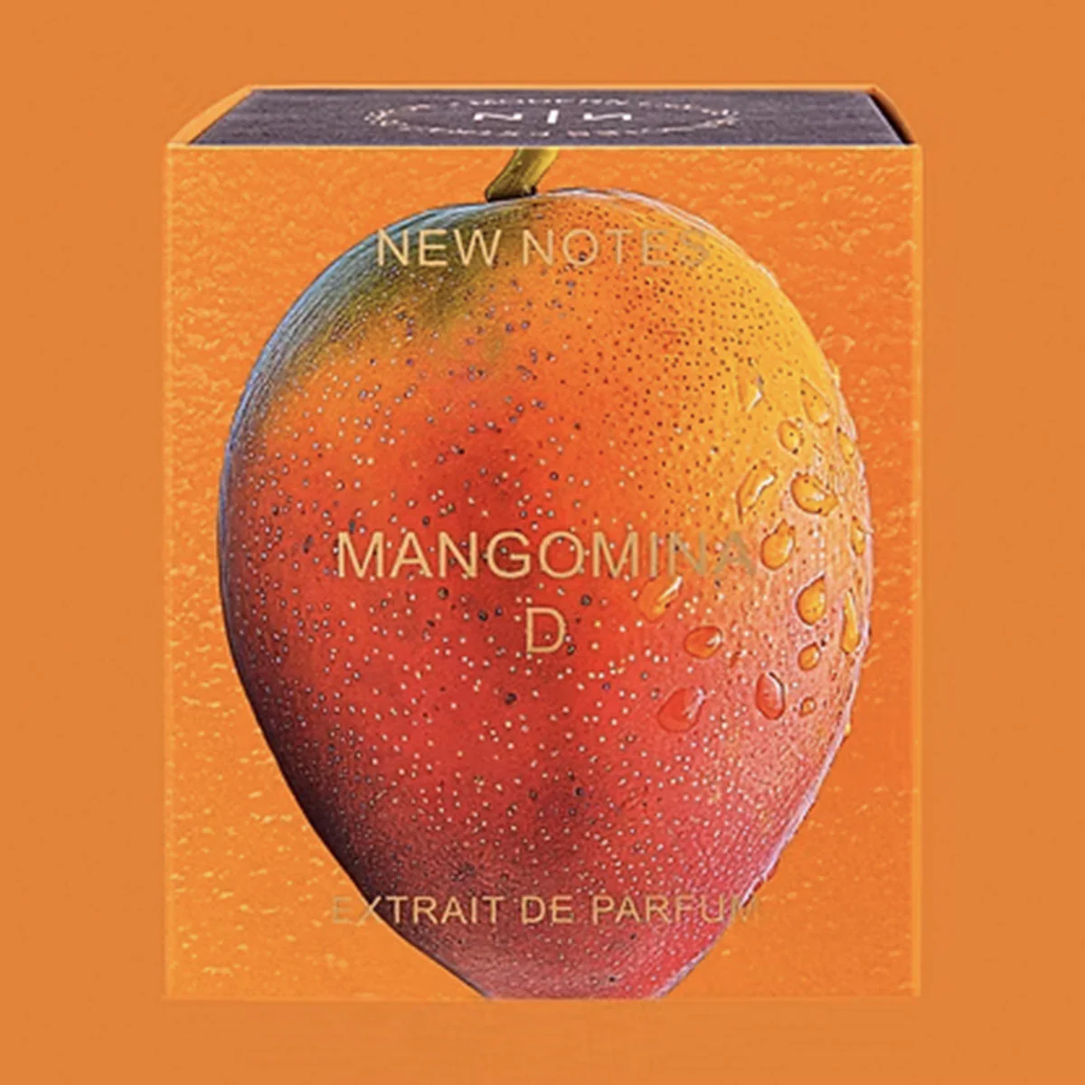 NEW NOTES MANGOMINA D - Image 3