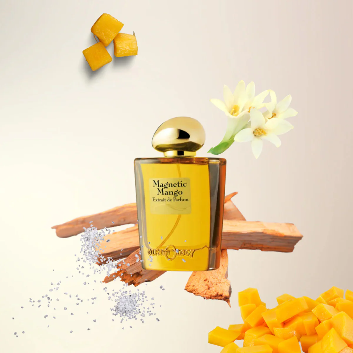 OLFATTOLOGY Magnetic Mango - Image 2