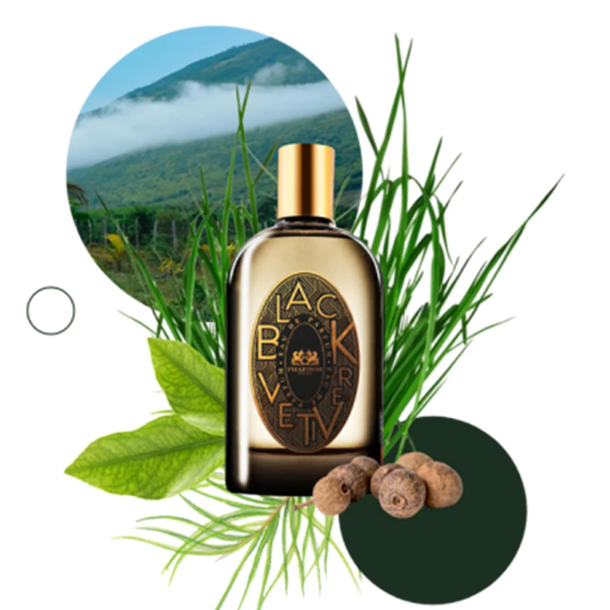 PHAEDON BLACK VETIVER - Image 2